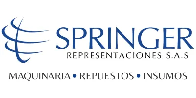 Springer Representaciones (Digital)