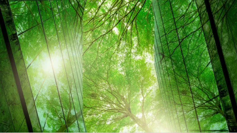 Networking Lunch Welcome