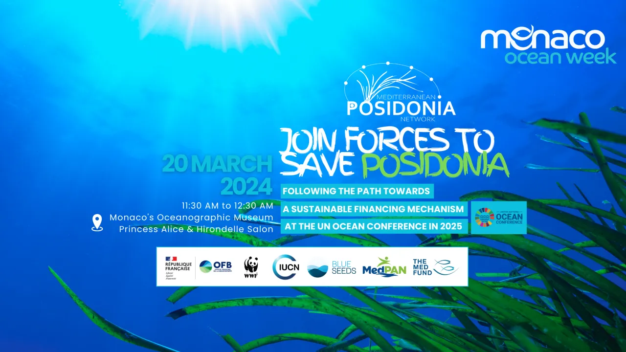 Join forces to save Posidonia, following the path towards a sustainable financing mechanism at the UN Ocean Conference in 2025