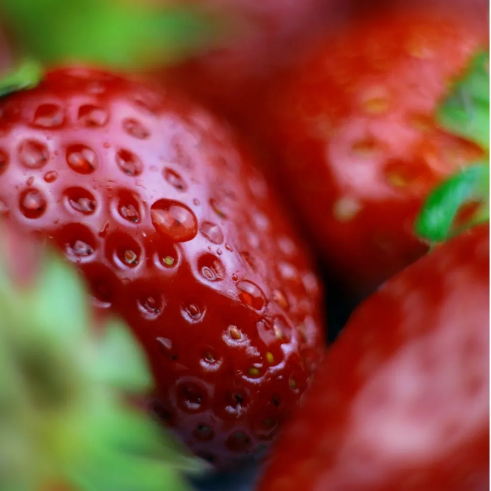 Les arômes Döhler: naturalité et durabilité au service de l'alimentation.