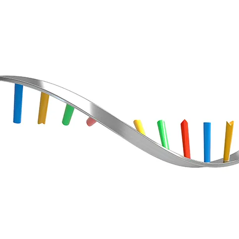 RNA Writing (Synthesis)