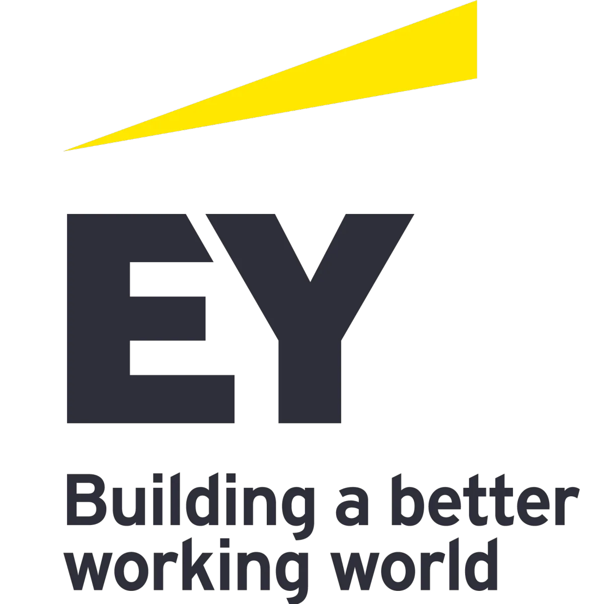 Analista Junior para Technology Risk