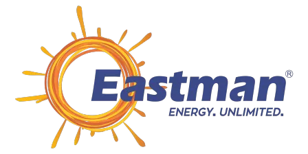 Eastman Auto & Power Ltd