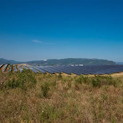 Press release: Internationalisation ensures success