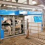 Gemini - Milking Robot