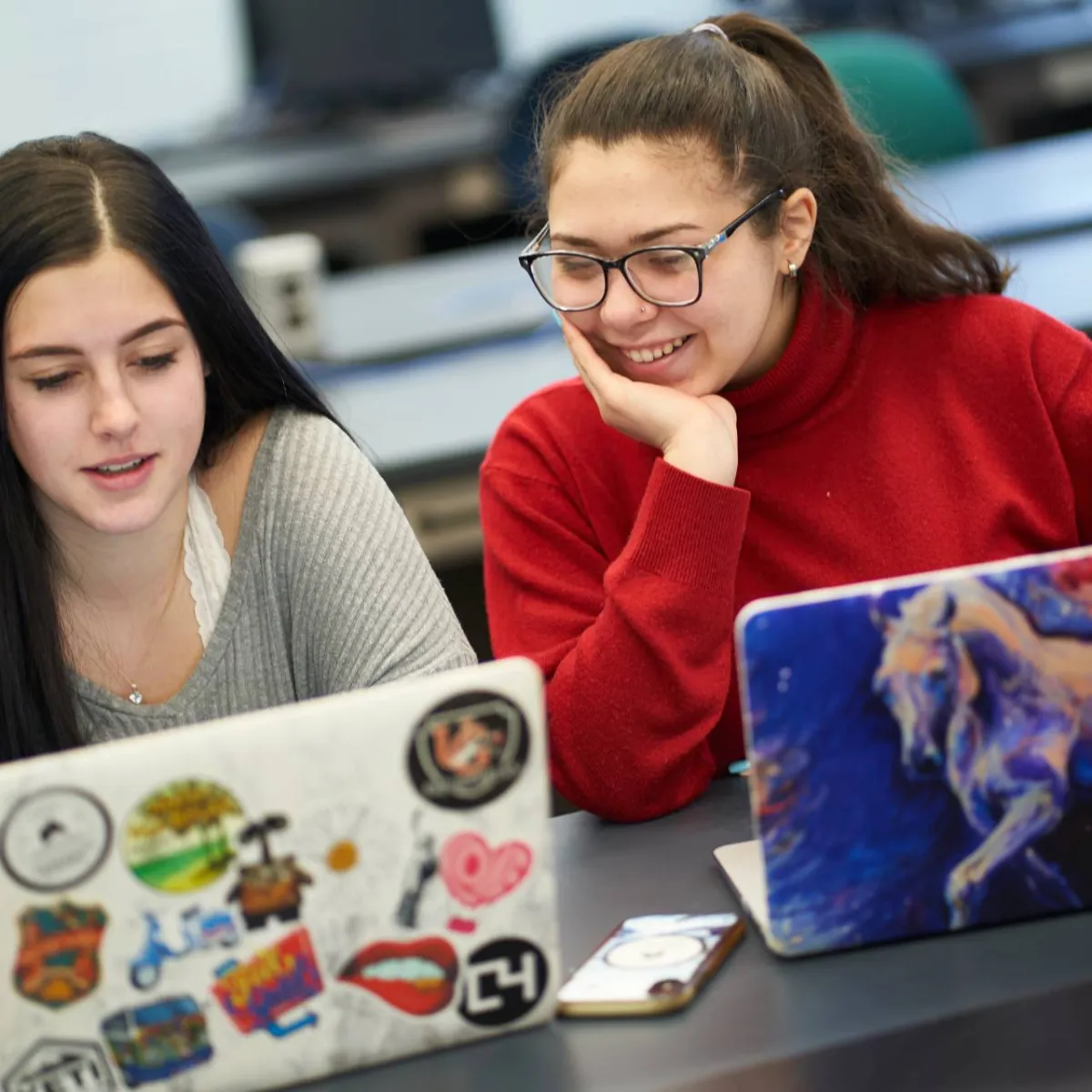 Online Animal Program Information Night