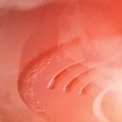 Environmental Monitoring