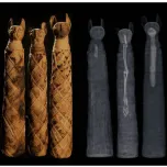 HOW CATS AND DOGS CONQUERED THE WORLD 2x52' 4K - a One Planet and Arte co-production