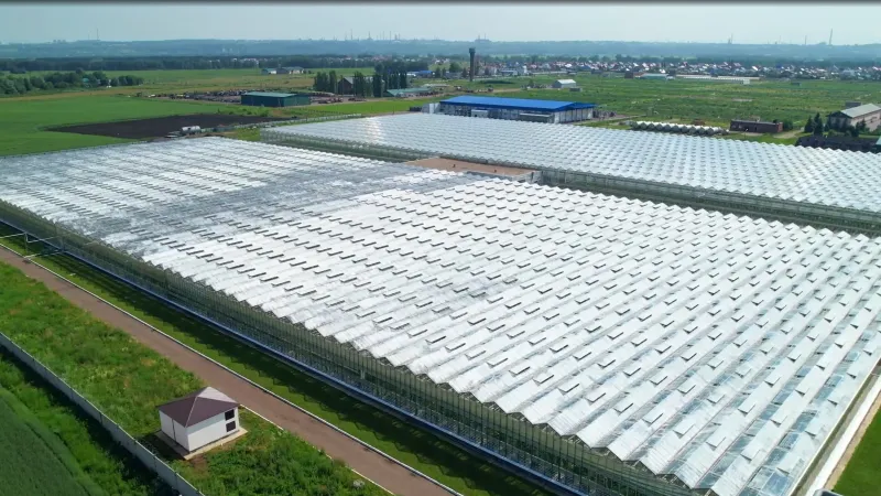 Point d'étape sur la réduction de la consommation d'énergie sous serres