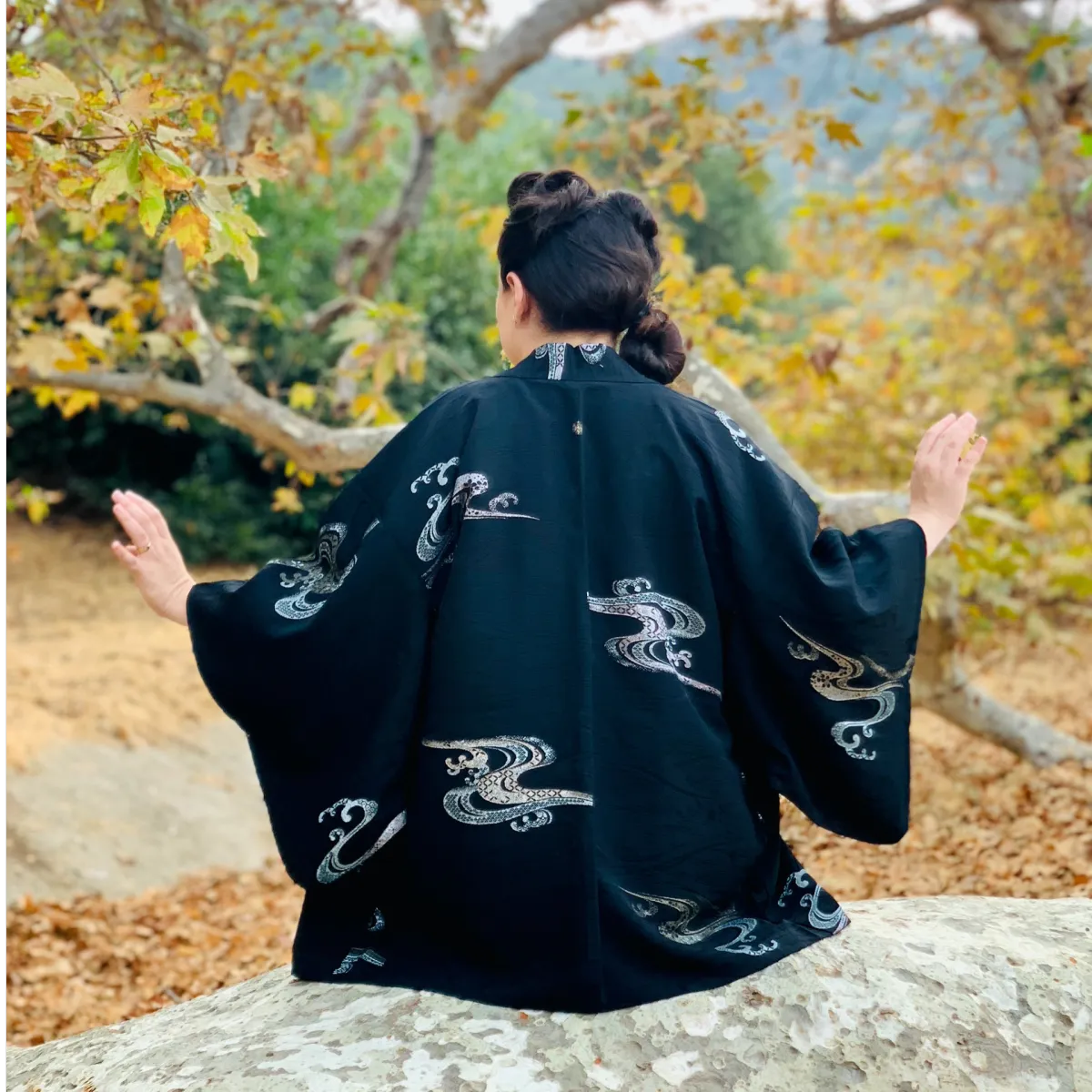 Vintage Haori jackets - Urushi silk