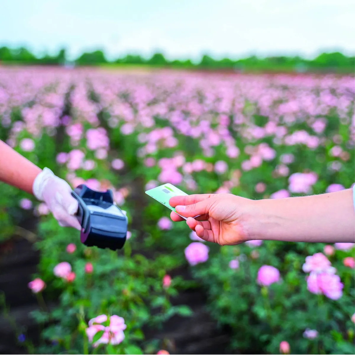 Solutions d'encaissement