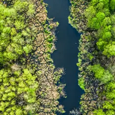 Sustainability is the new normal