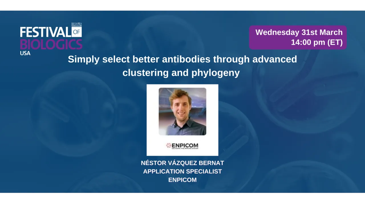 Simply select better antibodies through advanced clustering and phylogeny