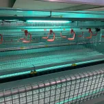Once Animal-centric LED Lighting