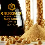 Condiment Extract, Natural Extract, Seasoning Powder Products