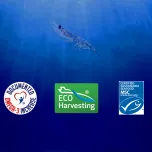 SuperbaKrill krill oil