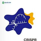 GenCRISPR Services