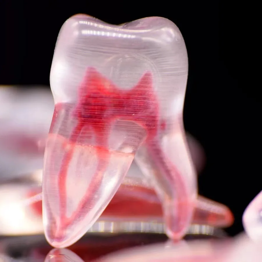 3D TEETH