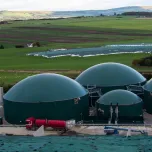 Digester Tanks