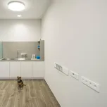 Fellini Dog Salon, Dusseldorf