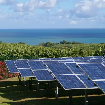 ON-GRID ELECTRICITY CONSUMERS