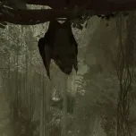 Inside Tumucumaque - a virtual reality installation