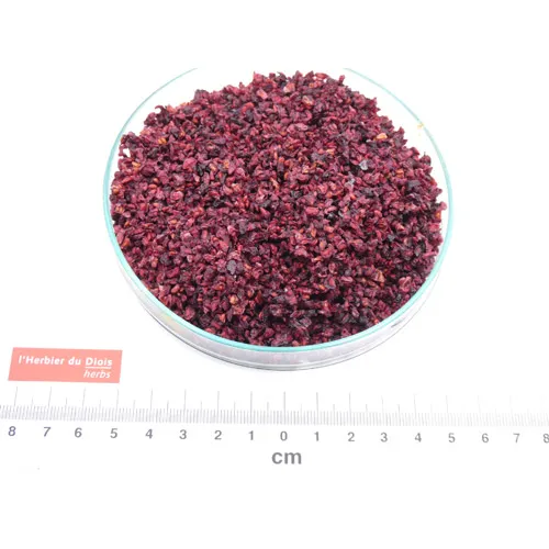 Fruits secs, légumes et champignons