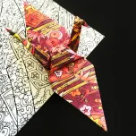 Color² Origami Collection