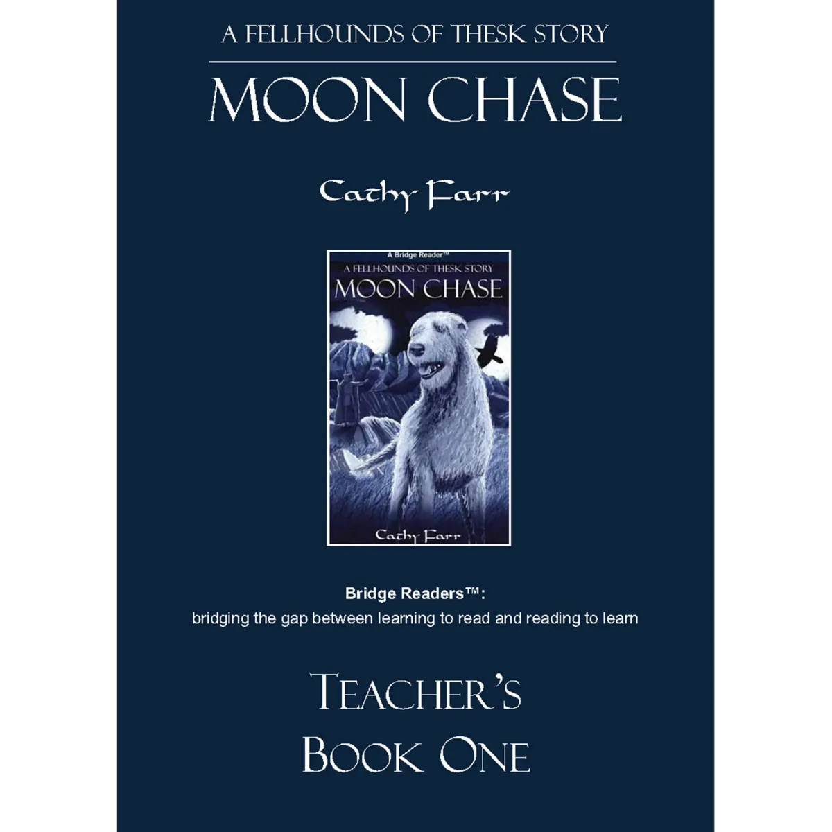Moon Chase, Teacher's Book download