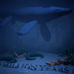 The Starry Sand Beach