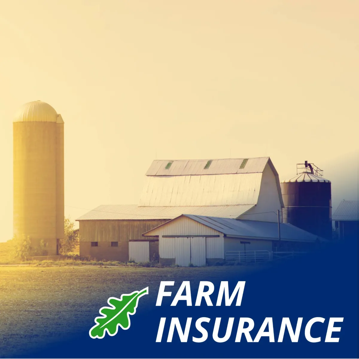 Insurance for Today's Farmer
