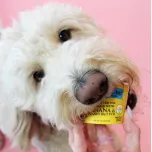 The Bear & The Rat Frozen Yogurt Dog Treat