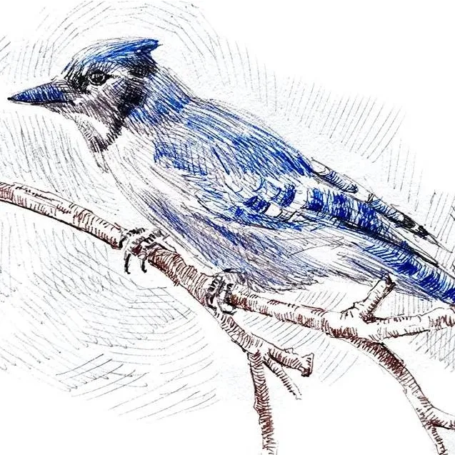 Winsor & Newton Fineliner Line Extension