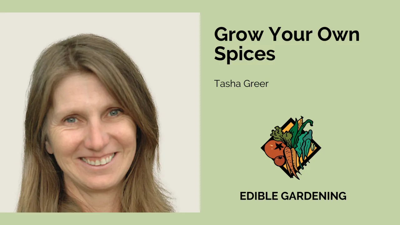 Grow Your Own Spices with Tasha Greer