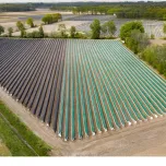 Paillage à ourlet pour asperge - Gamme REYPRO