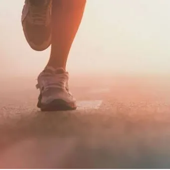 Übersetzer*in (Englisch-Deutsch)