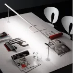 Lineal Suspension and Lineal Biblo