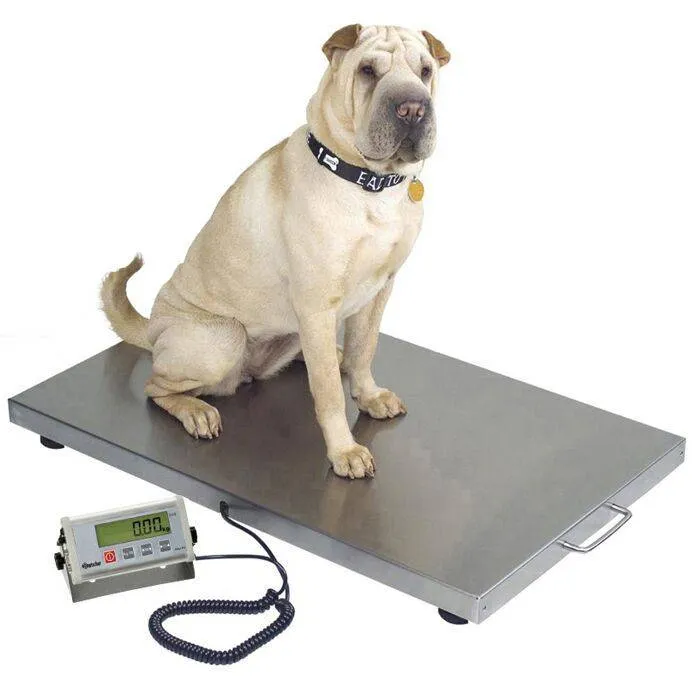 WS-4824 Stainless Steel Walk On Animal Scale