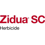 Zidua SC