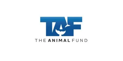 The Animal Fund
