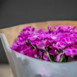 bloom guard Pergamin & Top View