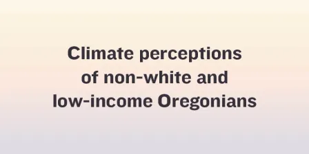 14. Brianne Suldovsky