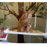 Kuranda Chew Proof Dog & Cat Beds