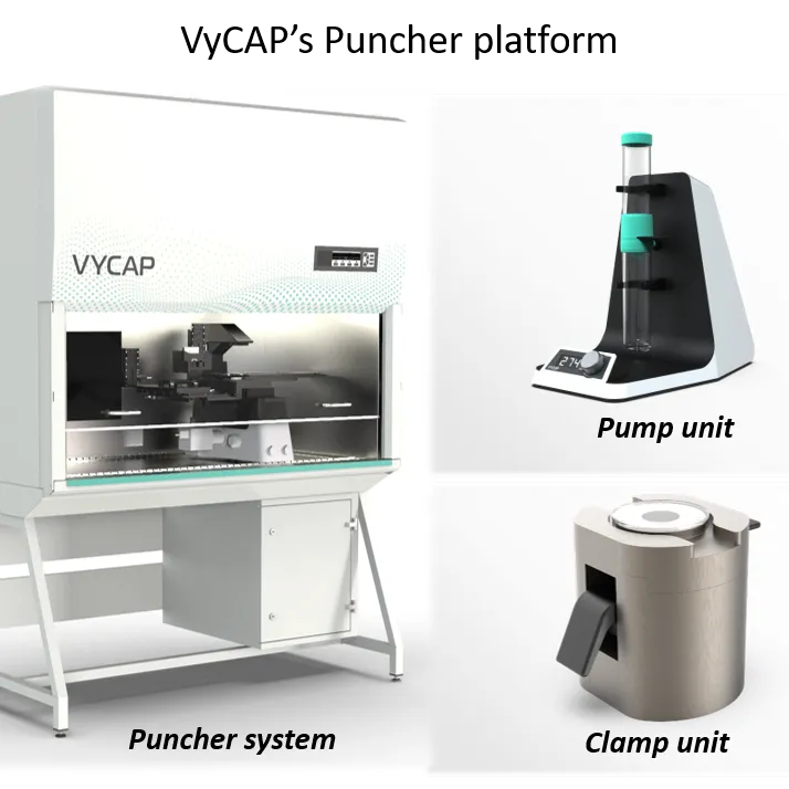 Puncher platform for single cell antibody screening and cell line development