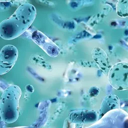 providence™ – postbiotics