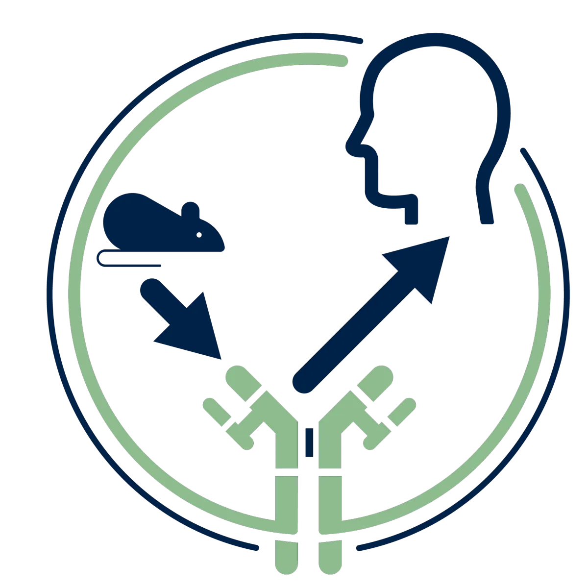 MAbHuman: antibody framework modification by CDR grafting