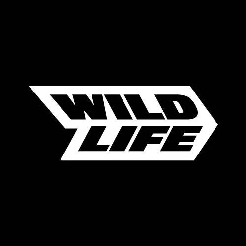 Senior Data Engineer