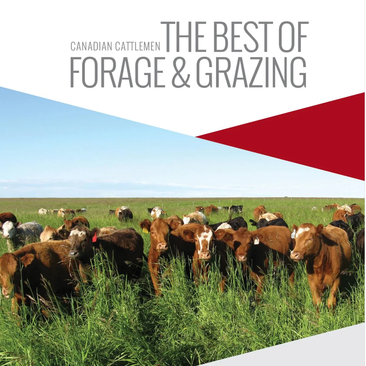 FORAGE & GRAZING | Canadian Cattlemen