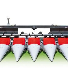 Dominoni Corn Heads