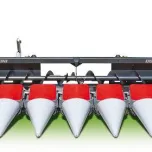 Dominoni Corn Heads